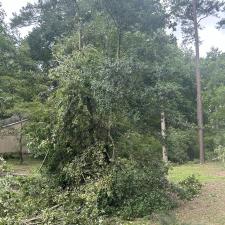 Front-Yard-Cleared-Out-Storm-Damage-in-Denton-MD 5